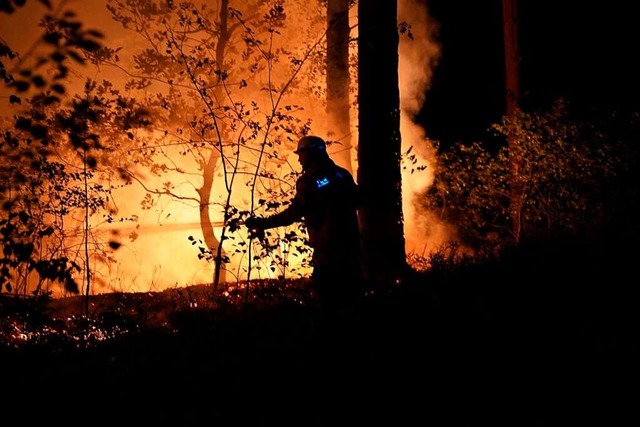 Ein Waldbrand &#8211; hier eine aktuel...; fordert die Feuerwehr in hohem Mae.  | Foto: Carsten Schmidt (dpa)