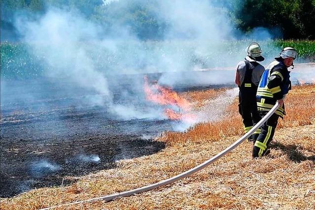 Vegetationsbrände stellen die Feuerwehren in der Ortenau vor große Herausforderungen