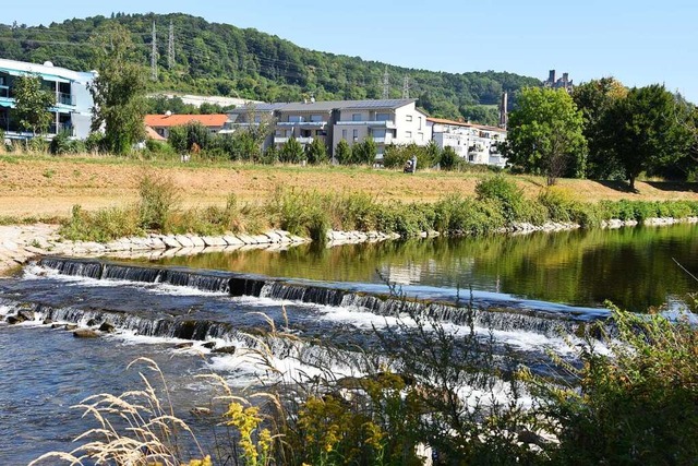 So idyllisch wie hier  zwischen Tumrin...gen sieht die Wiese nicht berall aus.  | Foto: Robert Bergmann