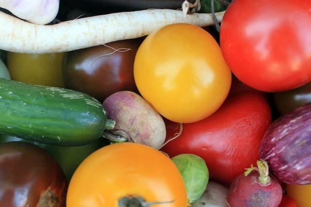 Obst, Gemüse, Kräuter – Lebensmittel im BZ-Check