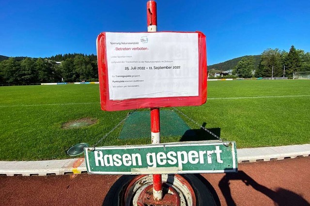 Der Rasenplatz in Neustadts  Jahnstadi...rs Training nicht mehr genutzt werden.  | Foto: Tanja Bury