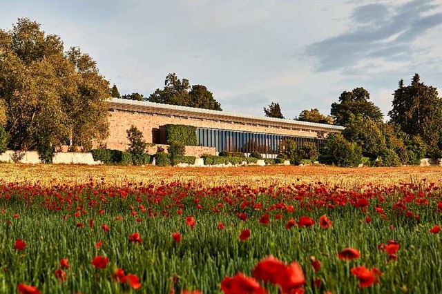 Die Fondation Beyeler in Riehen muss n...ittwoch weiterhin geschlossen bleiben.  | Foto: Niedermaier