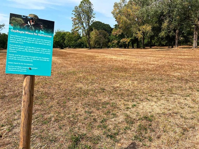 Die extreme Trockenheit hat auch die R...im Kurpark in  eine Steppe verwandelt.  | Foto: Hans-Peter Mller