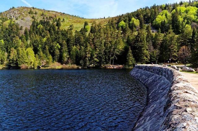 Der Lac du Forlet ist einer von vier Wasserspeichern in den Vogesen.  | Foto: YVESROLAND(Pictures news  (stock.adobe.com)