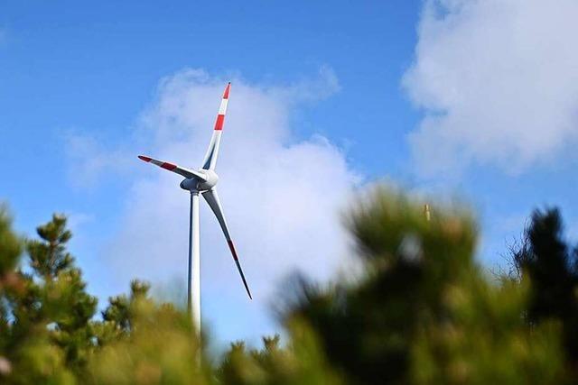 BI Energiewende Waldkirch will beschleunigtes Flächennutzungsverfahren
