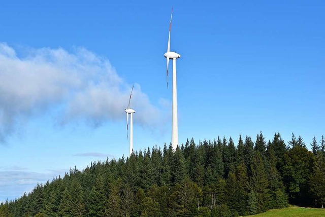 Auch Windrder werden die Landschaft im Schwarzwald prgen.  | Foto: Max Schuler