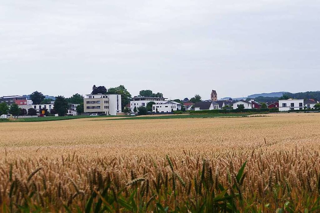 Noch wchst auf den Feldern im Gieenf... auch eine Arztpraxis vorstellen kann.  | Foto: Victoria Langelott