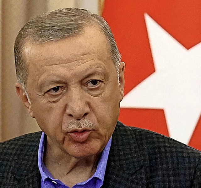 Der trkische Staatschef  Erdogan  | Foto: DIMITAR DILKOFF (AFP)