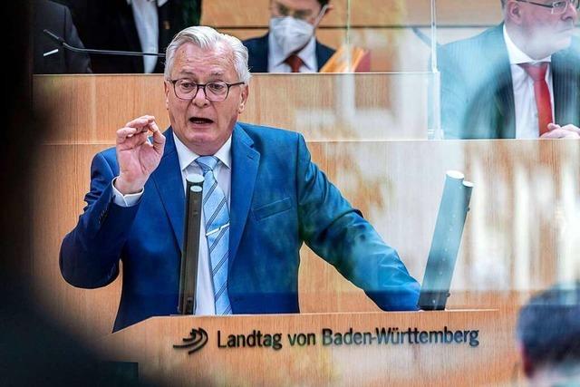 AfD-Landtagsfraktionschef Bernd Gögel: 