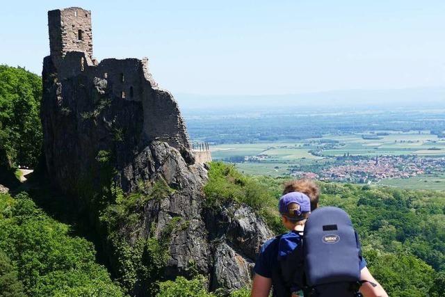 Eine Familienwanderung von Ribeauvill zur St. Ulrichsburg und Ruine Girsberg – mit Kinderkraxen