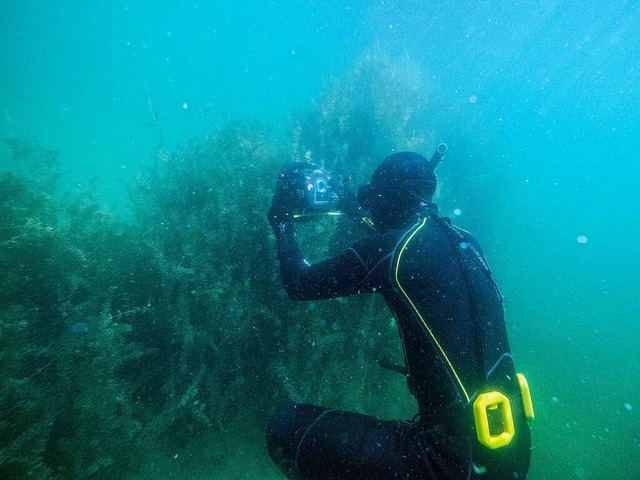 Im See bten die Teilnehmenden die Unterwasserfotografie.   | Foto: Unterwasserwelten e.V.