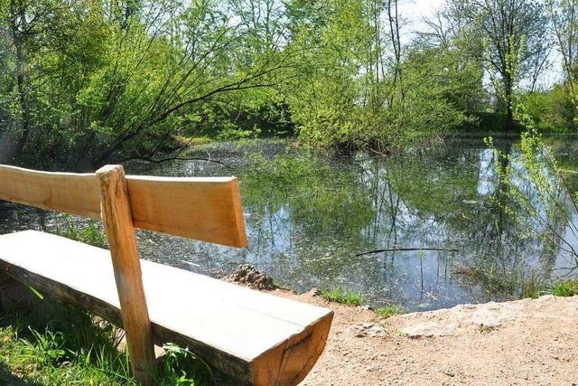 Amphibienlaichgebiet in Riehen soll besser geschützt werden