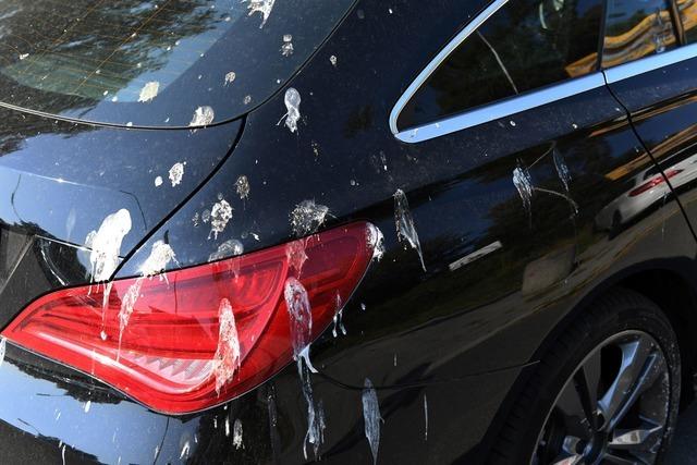 Glänzend sauber: So waschen Sie das Auto wie ein Profi