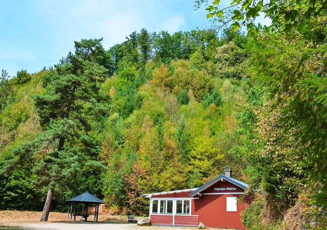 Rund um die Florian-Htte in Mnsterta...eute steht dort  ein bunter Mischwald.  | Foto: Gabriele Hennicke