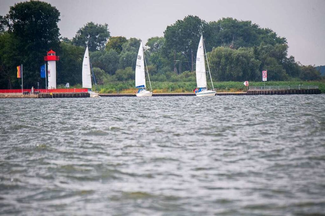 Segelboote fahren aus Ueckermnde auf ...ng mit dem Oder-Fischsterben entdeckt.  | Foto: Stefan Sauer (dpa)