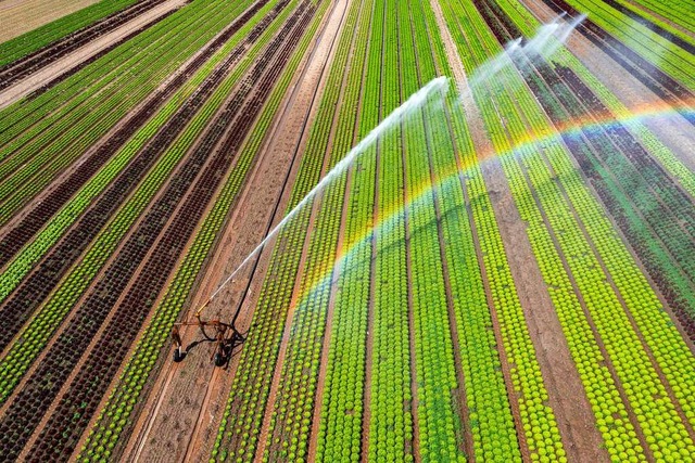 Ein Landwirt bewssert seinen Acker. W... darf er Wasser aus Flssen entnehmen.  | Foto: Jochen Tack via www.imago-images.de