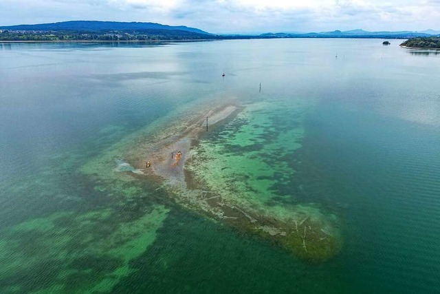 Der Bodensee hat mit Niedrigwasser und der Hitze zu kmpfen.  | Foto: Felix Kstle (dpa)