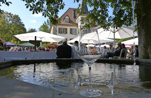 Seit 2015 finden die Schliengener Weintage im Schlosspark statt.  | Foto: Veranstalter