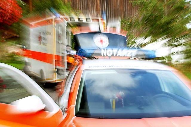Pedelec-Fahrer stirbt nach Sturz nahe Schliengen