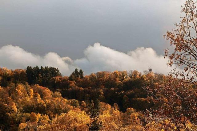 Regenwolkenwand am Freiburger Schlossberg