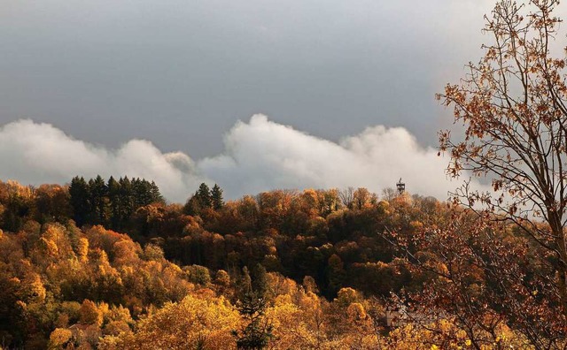 Schlossberg Freiburg.  | Foto: Elisabeth Faber