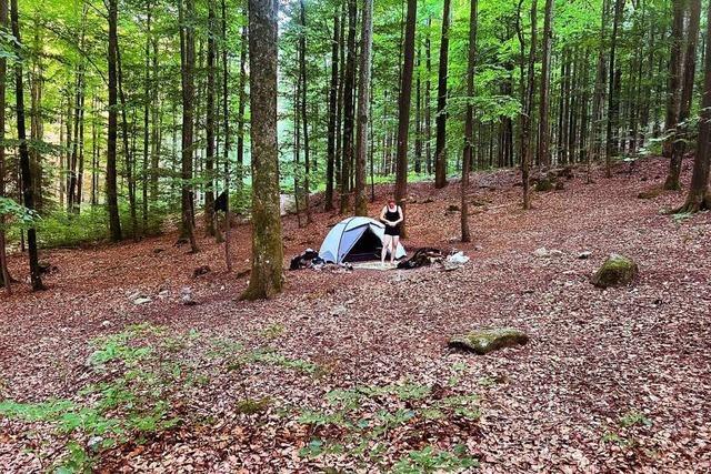 Wildes Zelten: Camping mitten im Schwarzwald