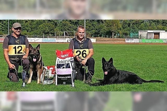 Münstertäler Hundesportler sind wieder vorne