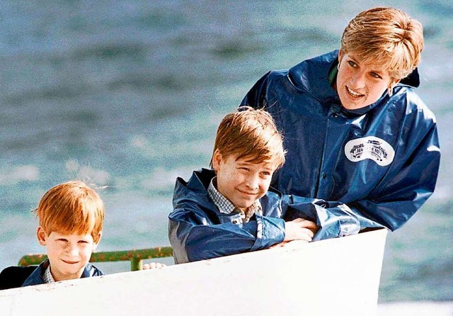 Harry (links) und William mit ihrer Mutter an den Niagara-Fllen 1991  | Foto: Hans Dderyk (dpa)
