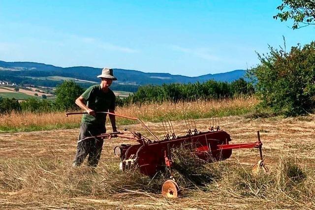 Naturschtzer halten im Kreis Lrrach Flchen offen, die fr Landwirte keinen Ertrag bringen
