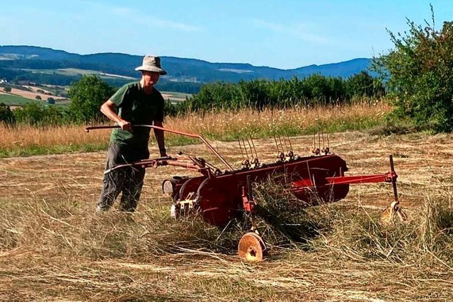 Der Balkenmher verschont bei seiner Schnittarbeit das  Leben der Insekten.  | Foto: BUND Lrrach-Weil