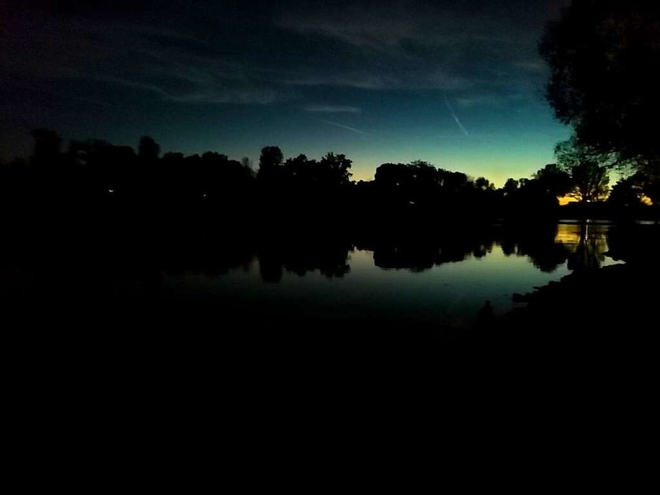 Um am Dietenbachsee auf die Jagd nach ... brauchen Fledermäuse kein Tageslicht.  | Foto: Kathrin Blum