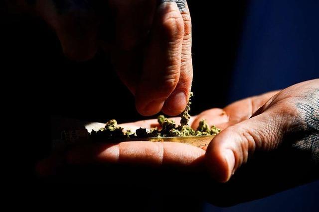 Warum Basel in einer Studie den Verkauf von Marihuana und Haschisch legalisiert