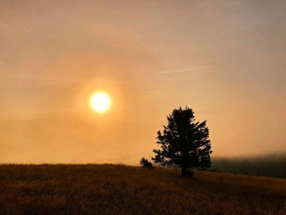 Die Sonne ist da und der Nebel hat sich auch weitestgehend verzogen.  | Foto: Sarah Trinler