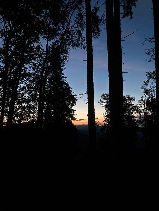 Frh am Morgen geht die Wanderung los, die Sonne kndigt sich schon an.  | Foto: Sarah Trinler