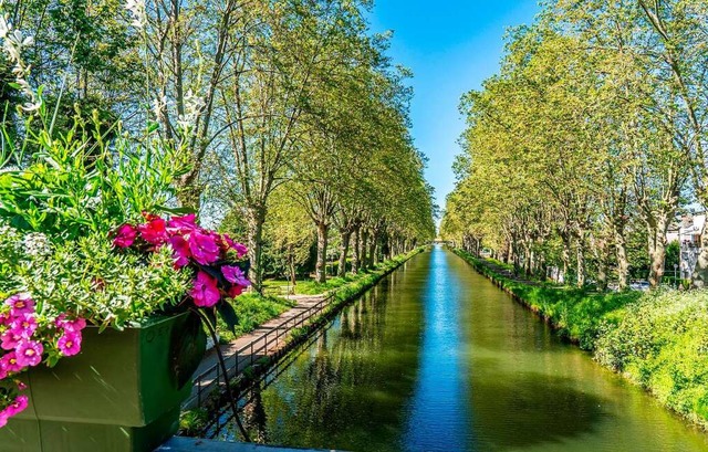 Blumenksten wie dieser hier im Elsass...n zum Wasser sparen bereits abgehngt.  | Foto: teli