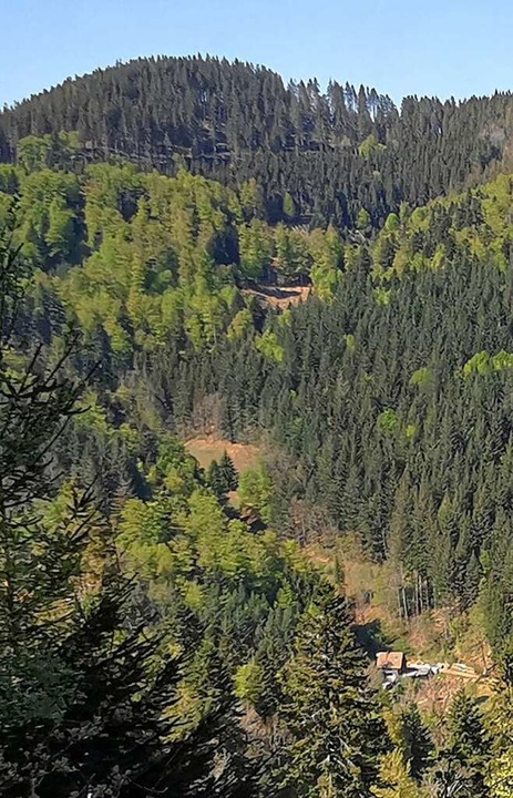 Blick zur Hohe Steig 2021  | Foto: Rolf Wehrle