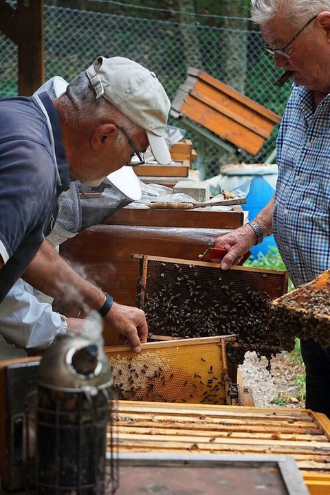Stetes Summen: Mitglieder des Bezirksi...ich am Lehrbienenstand um ihre Vlker.  | Foto: Fabian Sickenberger