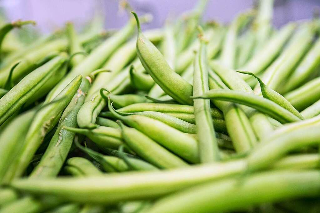 So werden Bohnen bekömmlicher - Gastronomie - Badische Zeitung