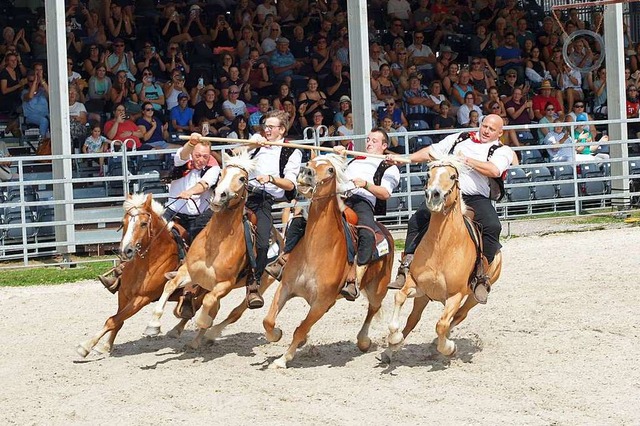 Italienische Haflinger und ihre Reiter...der Top-Schau fr eine rasante Nummer.  | Foto: Carola Bruhier