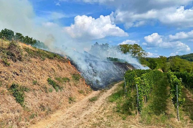 In den Hecklinger Weinbergen brannte ein Hang.  | Foto: Feuerwehr Kenzingen