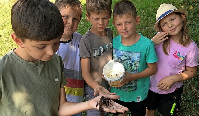 &#8222;Was lebt im Bach&#8220; wollten...e wissbegierigen Naturforscher wissen.  | Foto: Gemeinde Biederbach