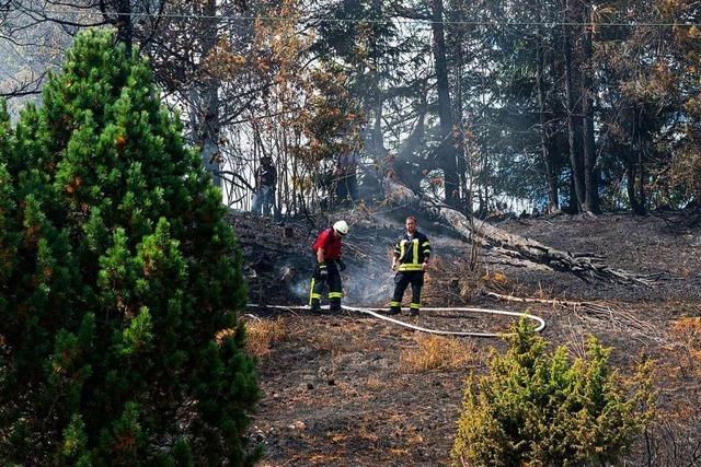 Wie die Feuerwehren im Hochschwarzwald mit Flächenbränden umgehen