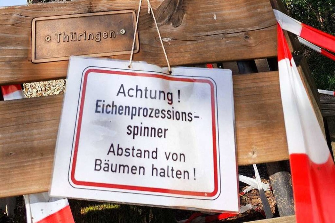 Auf der Bank bei der Wiedervereinigung...lberg sollte man derzeit nicht sitzen.  | Foto: Maja Tolsdorf