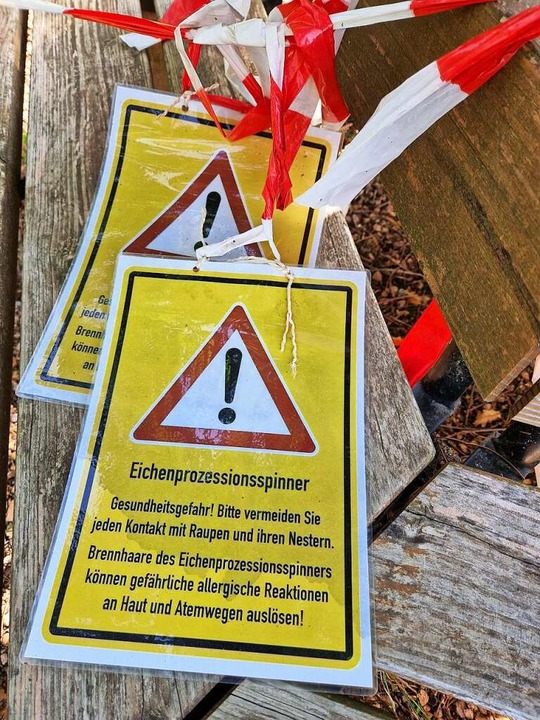   | Foto: Maja Tolsdorf