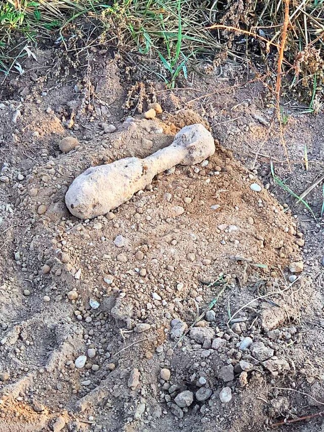 Diese Granate wurde in der Flugplatzstrae gefunden.  | Foto: Stadt Lahr