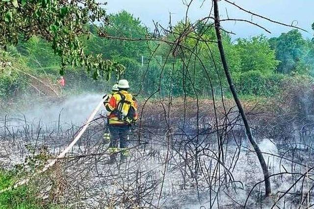 Feuerwehren in der Region Breisach sind auf Flächenbrände vorbereitet