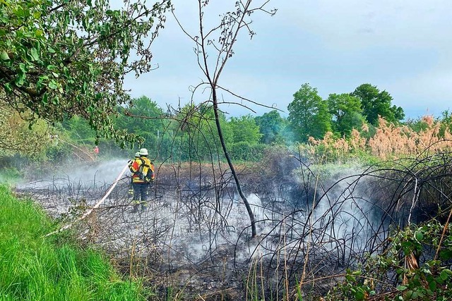 Die Vogtsburger Feuerwehr hat im Mai  ...sich  ein Vegetationsbrand ausbreitet.  | Foto: Marco Sexauer
