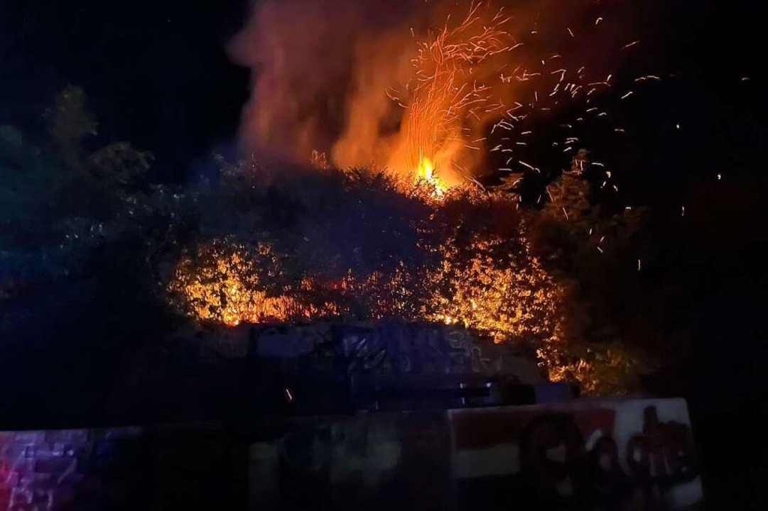 Am Lehrtenbänkle  stand eine große Hecke in Flammen.  | Foto: Feuerwehr Herbolzheim