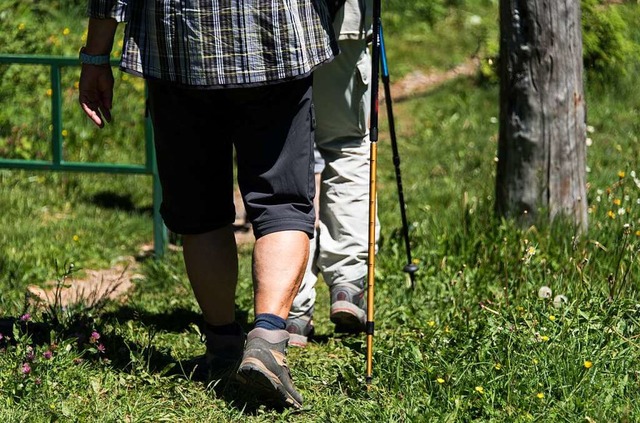 Schwarzwald, Bodensee, Schwbische Alb...ist im Sdwesten ein wichtiger Faktor.  | Foto: Patrick Seeger