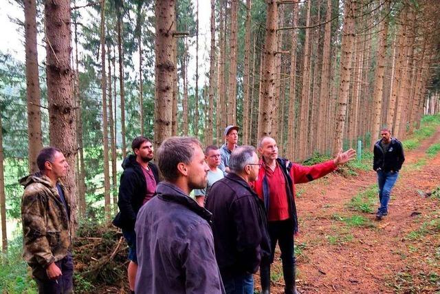 Aus Wald und Wiese soll in Unadingen eine Natur-Oase werden